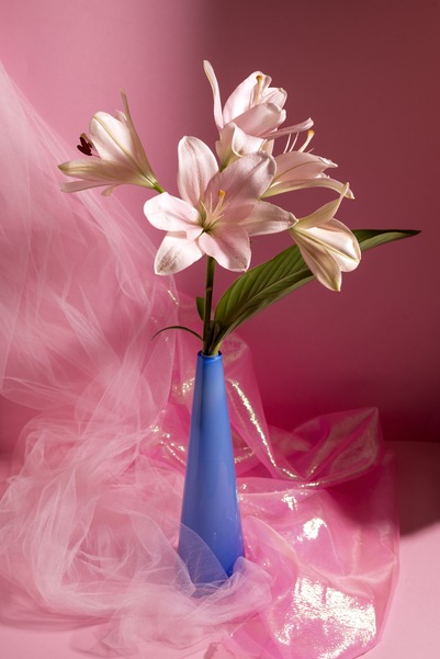 Flores